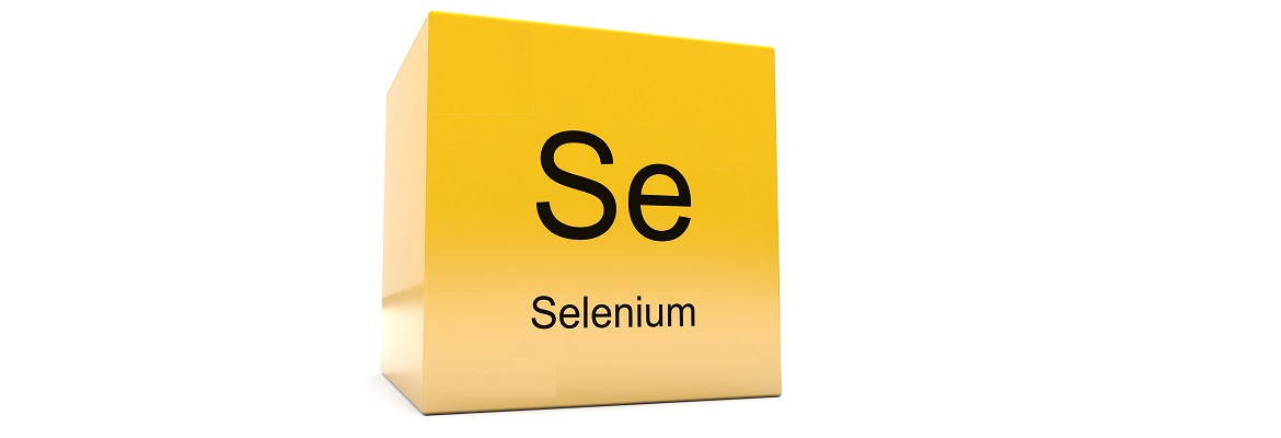 Selenomethionine has superior bioavailability, suggests study