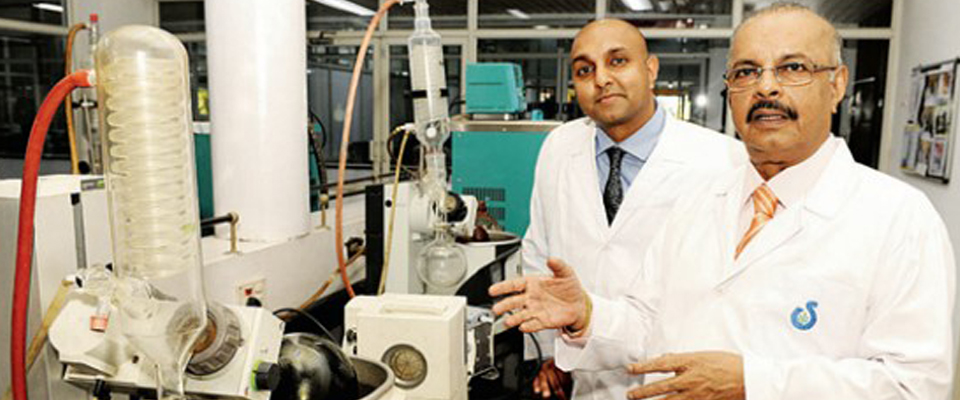 The monk that could stall your diabetes