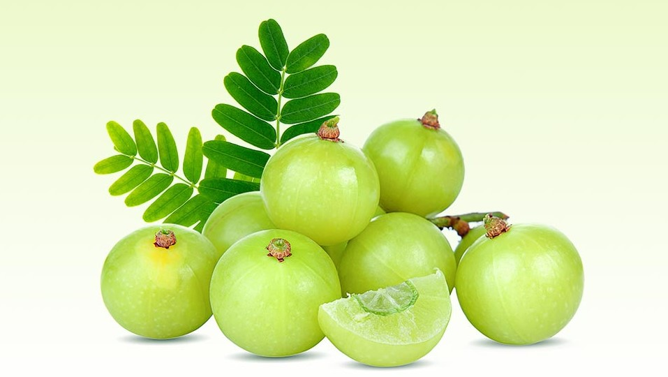 Sabinsa Continues the Fight Against Adulterated Vitamin C in Food and Beverage Products by Alerting Regulatory Agencies