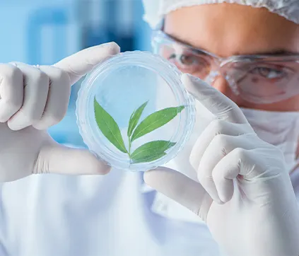 Intersection of Research and Revolutionary Ideas