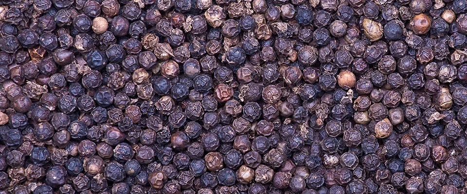 Resveratrol and Sabinsa’s BioPerine® on mitochondrial capacity with exercise