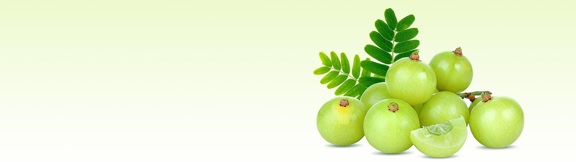 Sabinsa Continues the Fight Against Adulterated Vitamin C in Food and Beverage Products by Alerting Regulatory Agencies