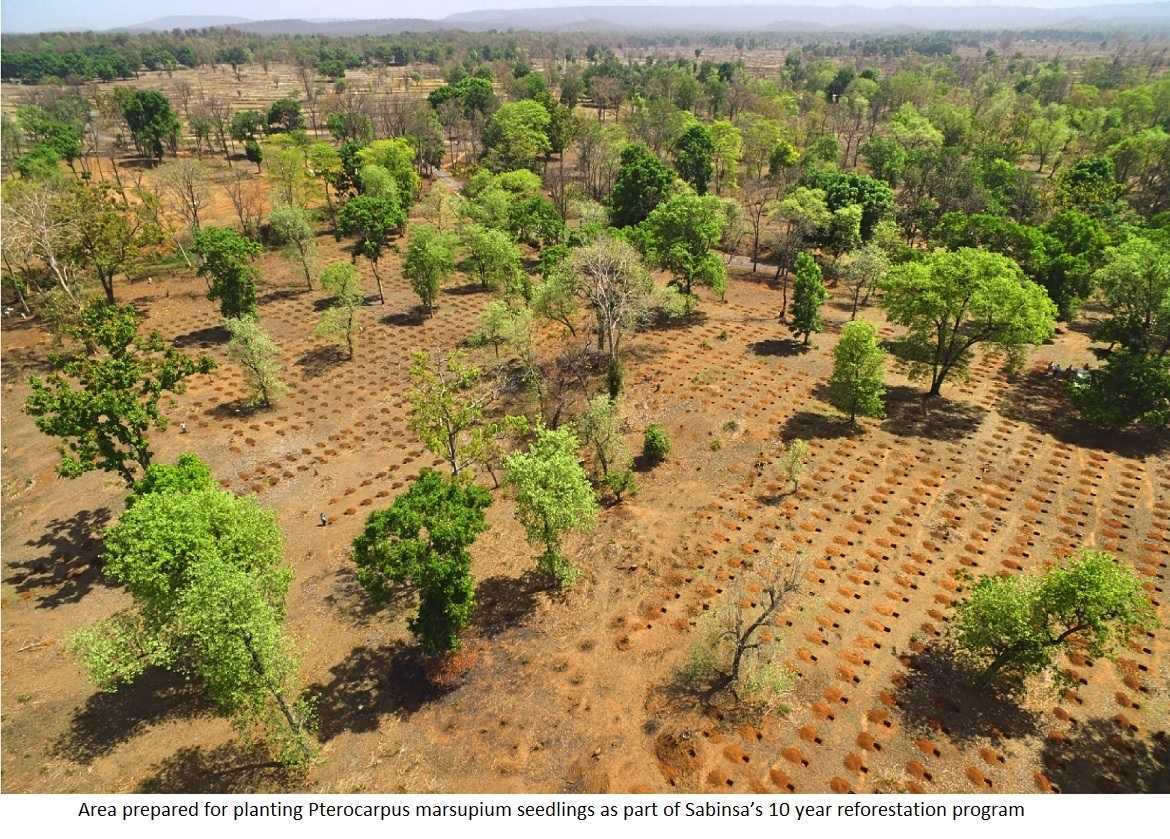 Sami-Sabinsa’s Pterocarpus marsupium Reforestation Program Named Industry Initiative of The Year Award Finalist