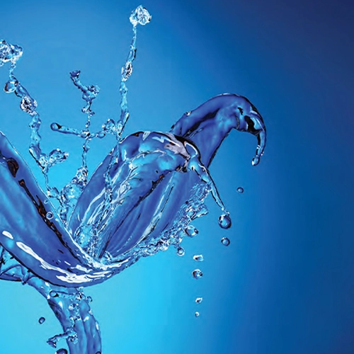 Beverage/Liquid Dietary Ingredients